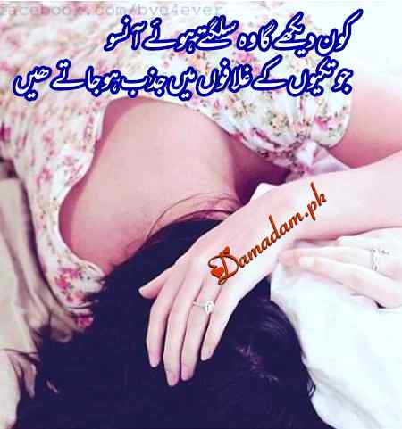 Urdu poetry