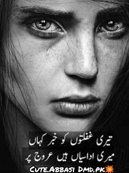 Urdu poetry