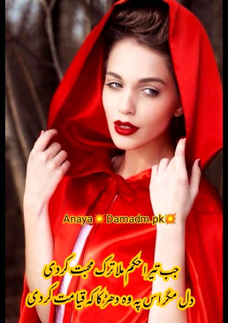 Urdu poetry