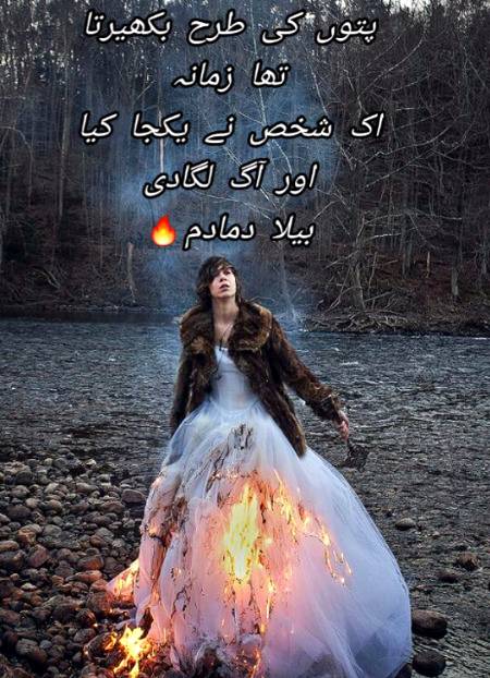 Urdu poetry