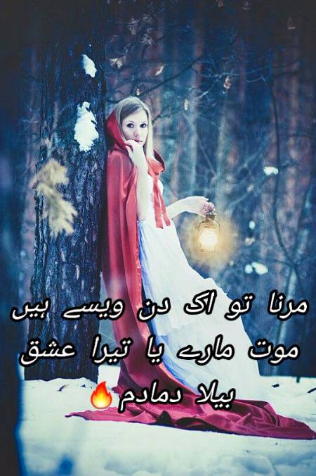 Urdu poetry