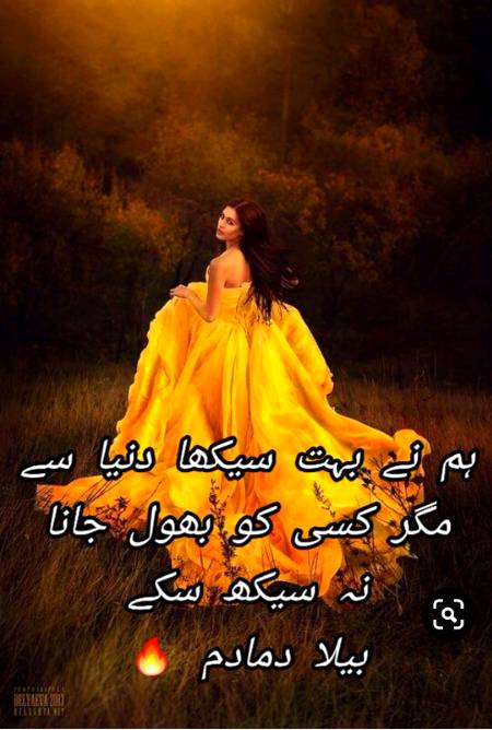 Urdu poetry