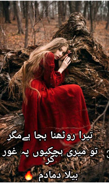 Urdu poetry