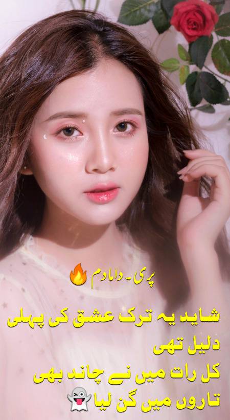 Urdu poetry
