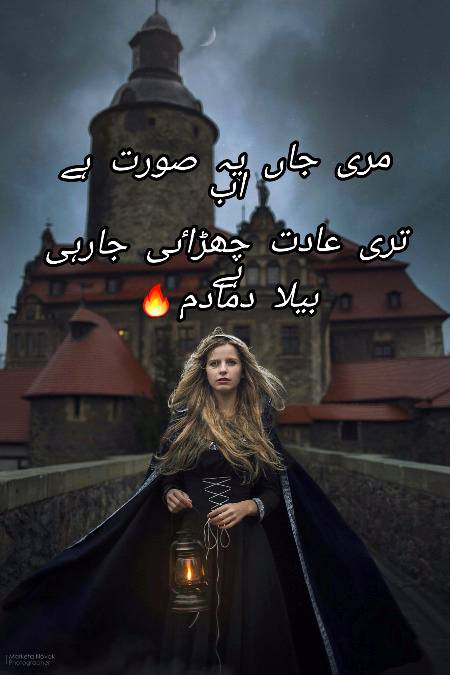 Urdu poetry