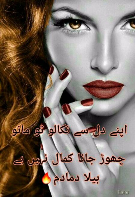 Urdu poetry