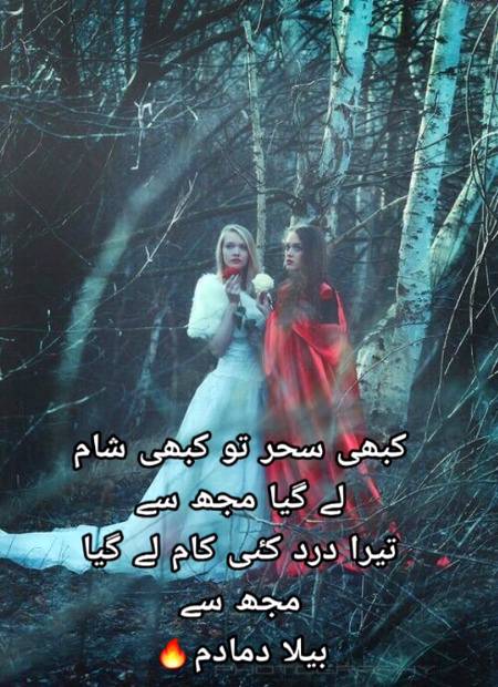 Urdu poetry