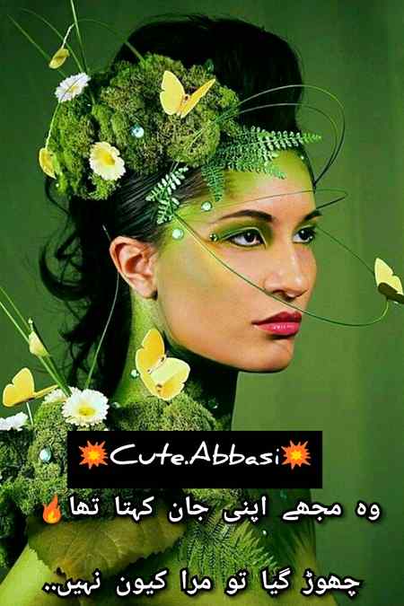 Urdu poetry