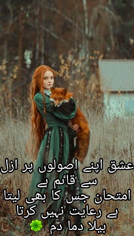 Urdu poetry