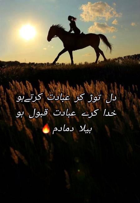 Urdu poetry