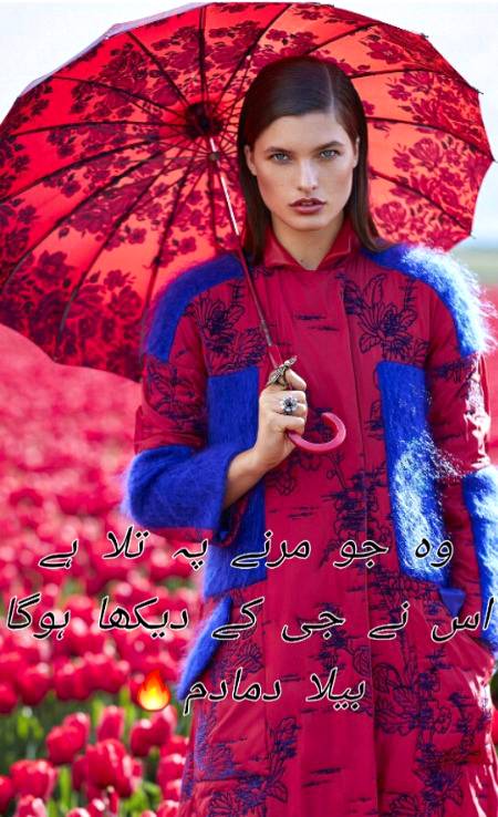 Urdu poetry