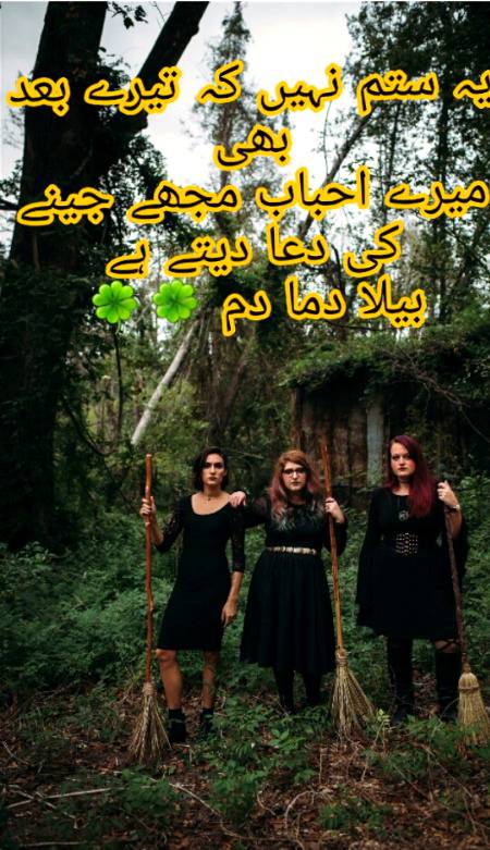 Urdu poetry