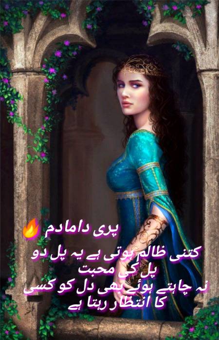 Urdu poetry