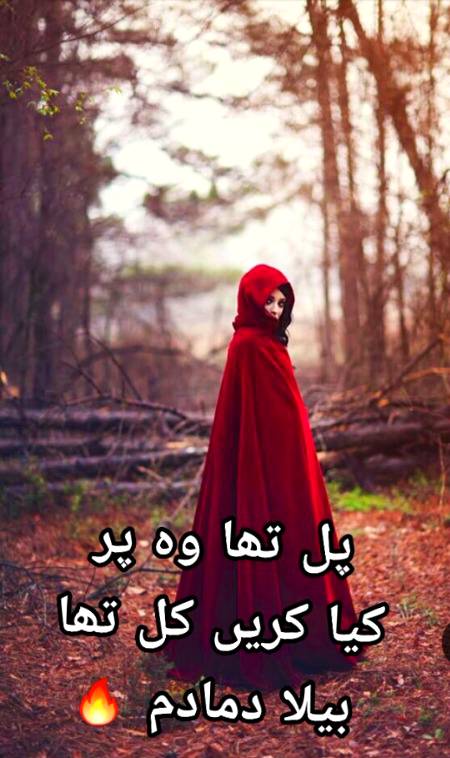 Urdu poetry