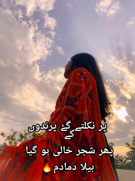 Urdu poetry