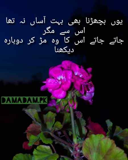 Urdu poetry