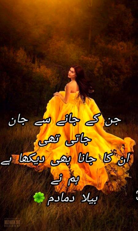Urdu poetry
