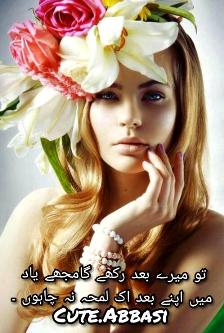 Urdu poetry