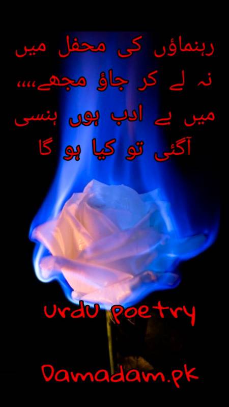 Urdu poetry
