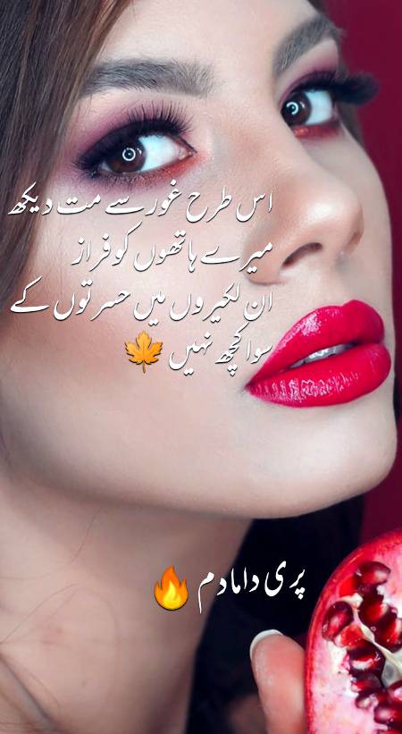 Urdu poetry
