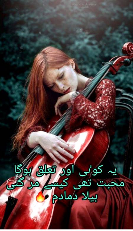 Urdu poetry