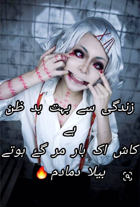 Urdu poetry