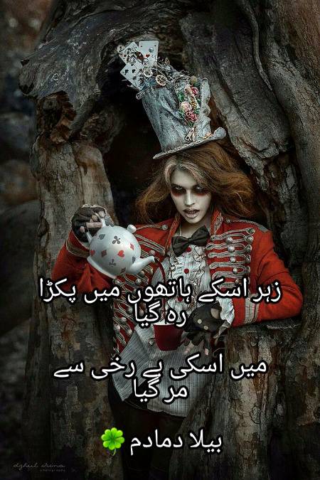 Urdu poetry