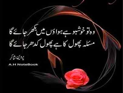 Urdu poetry