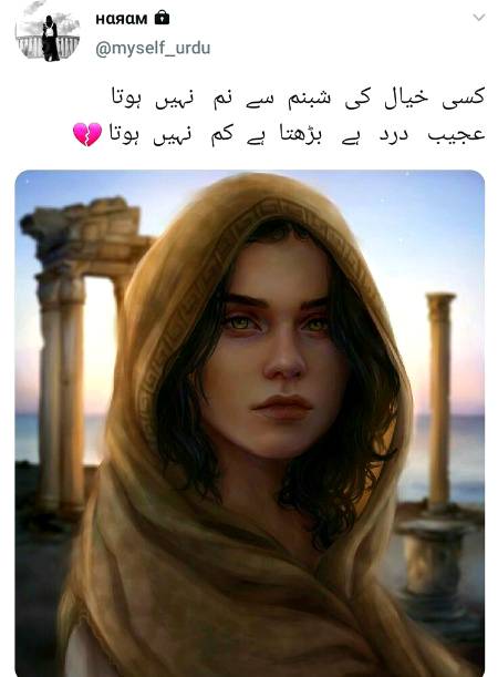Urdu poetry