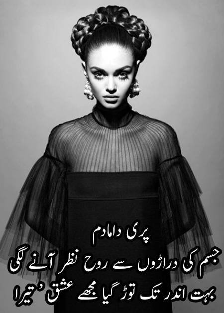 Urdu poetry