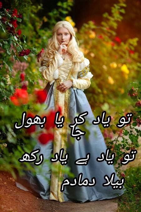 Urdu poetry
