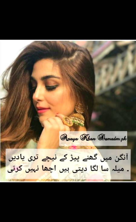 Urdu poetry