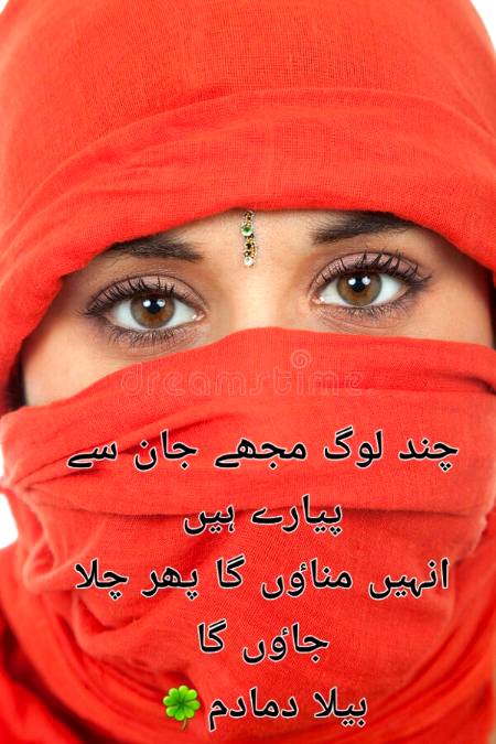 Urdu poetry