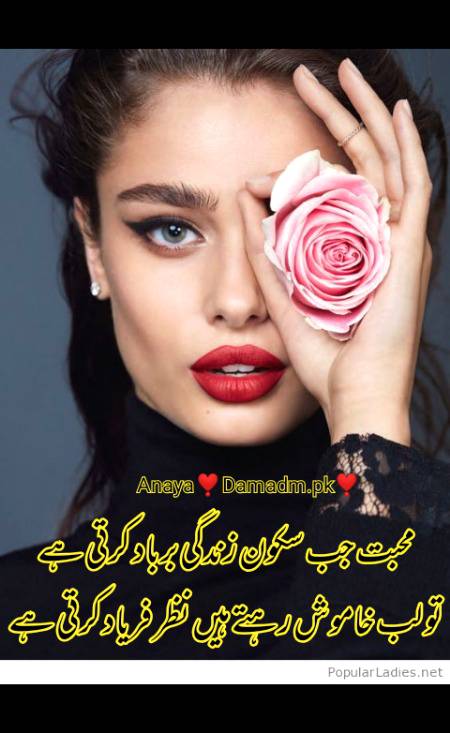 Urdu poetry