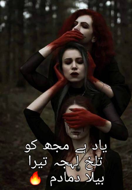 Urdu poetry