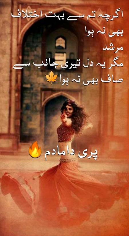 Urdu poetry