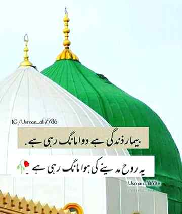 Urdu poetry