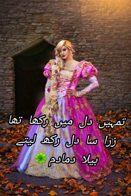Urdu poetry
