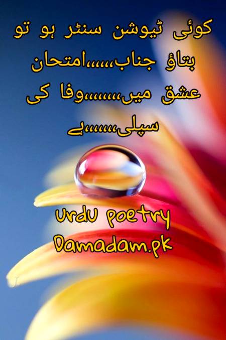 Urdu poetry