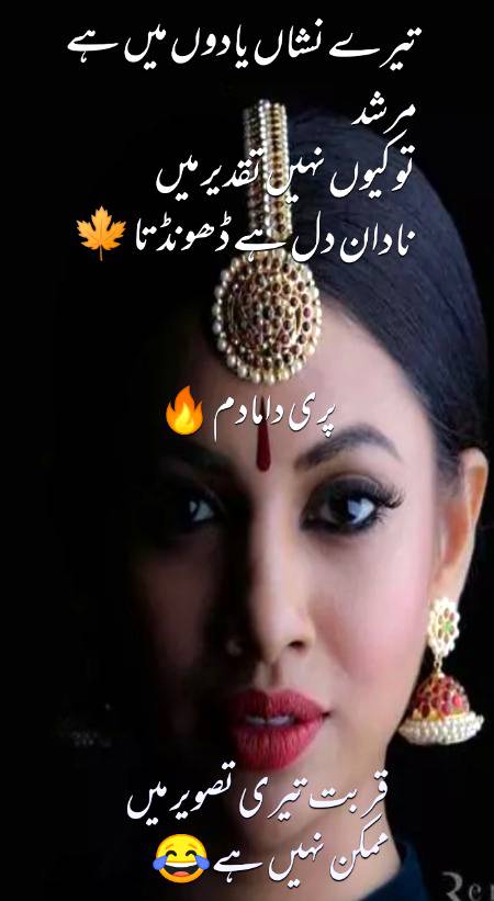 Urdu poetry