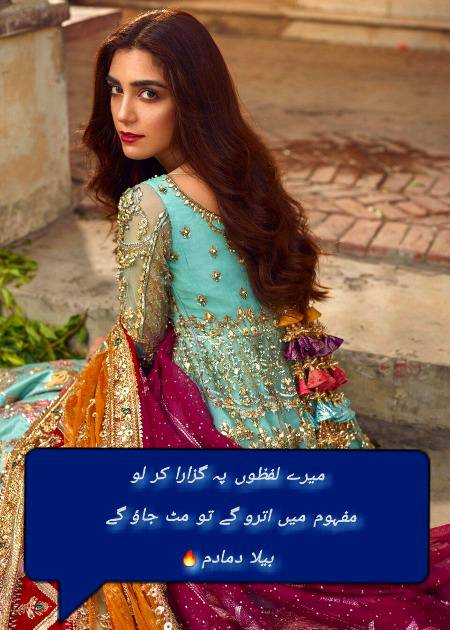 Urdu poetry