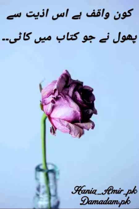 Urdu poetry