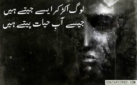 Urdu poetry
