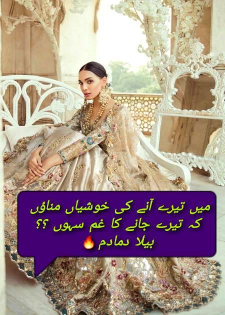 Urdu poetry