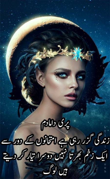 Urdu poetry