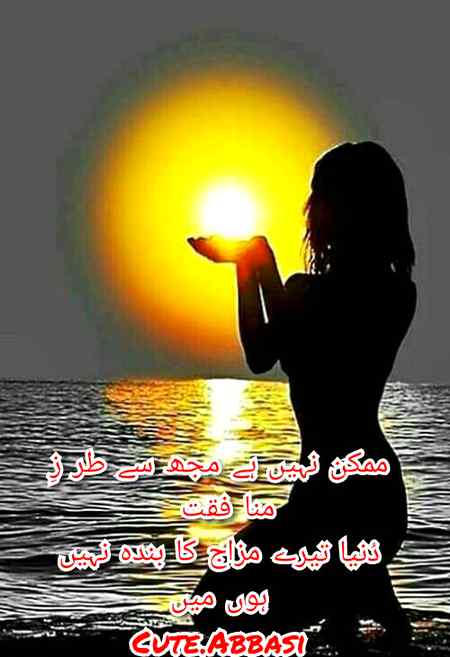 Urdu poetry