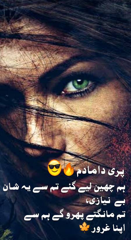 Urdu poetry