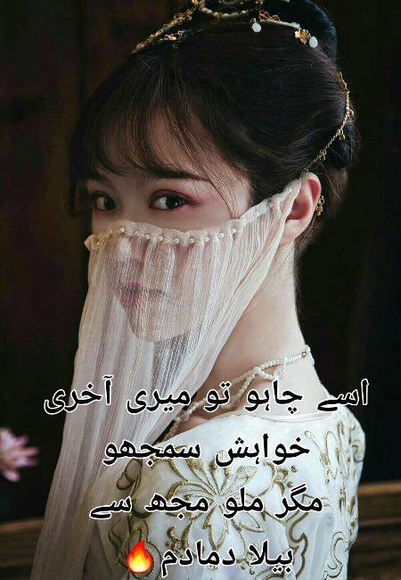 Urdu poetry