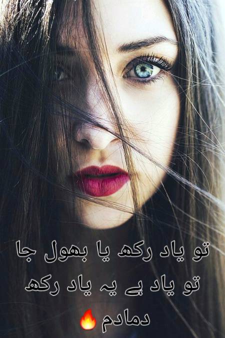Urdu poetry