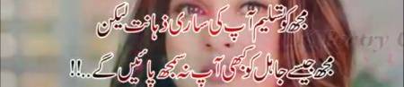 Urdu poetry
